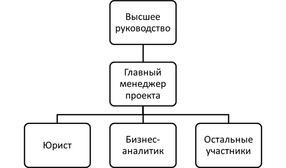 Организационная структура проекта