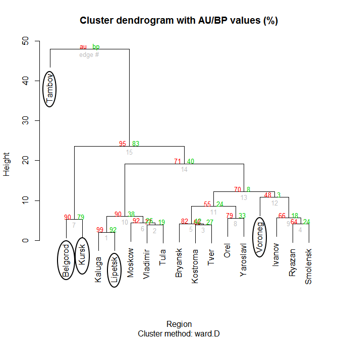 Дендрограмма построенная по методу иерархической кластеризации с использованием библиотеки (pvclust) по абсолютным расстояниям между векторами методом агломерации.